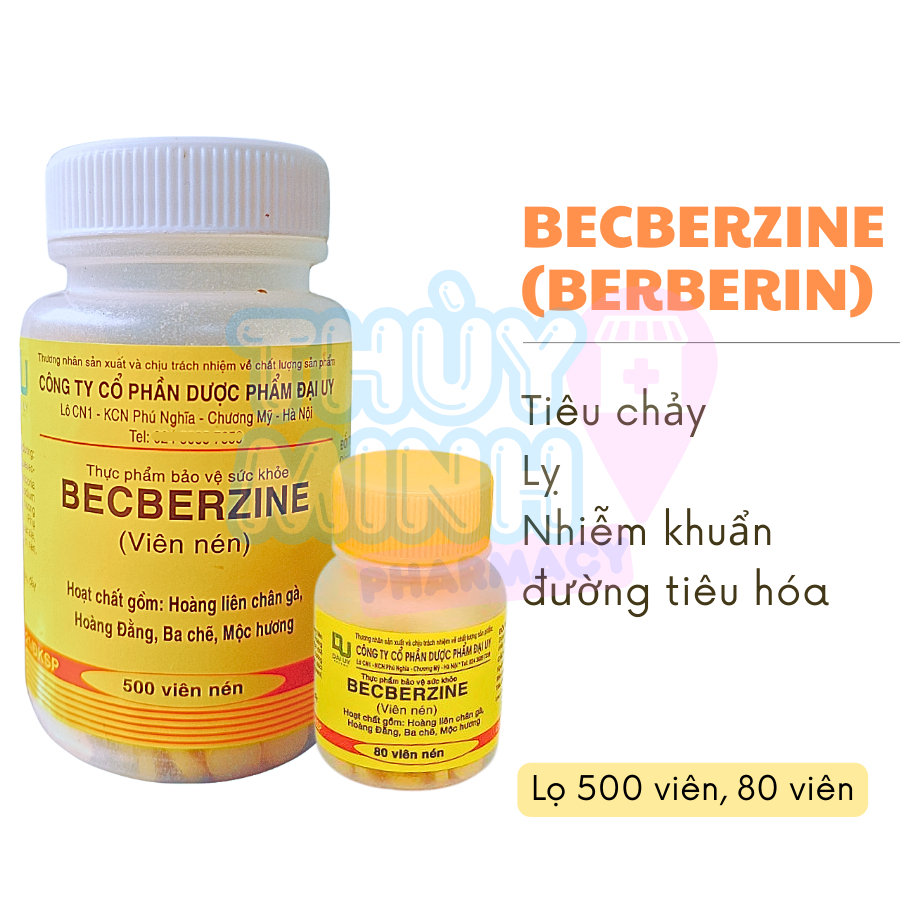 Lọ 80/500 Viên Becberzine (Berberin) Phòng Ngừa, Hỗ Trợ Giảm Rối Loạn Tiêu Hóa, Đầy Bụng, Tiêu Chảy