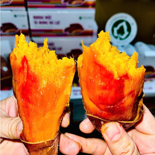 Khoai Lang Mật Tà Nung Xuất Khẩu Qúy Trọng, Khoai Đã Lên Mật Nướng Luôn – Thùng 3kg