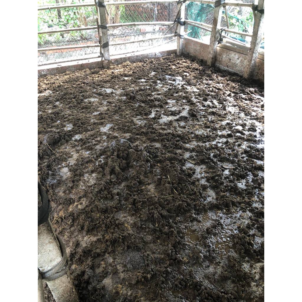 Phân Bò Ủ Vi Sinh - EcoFarm Phân Bò Ủ Hoai