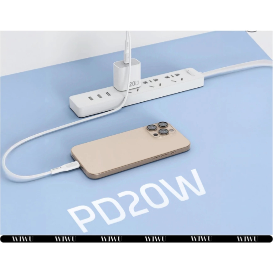 Combo Dây Sạc C to C Hoặc C To Lighting 60W & Củ Sạc WiWU 20W Essen GaN Fast Charge – Giải Pháp Sạc 