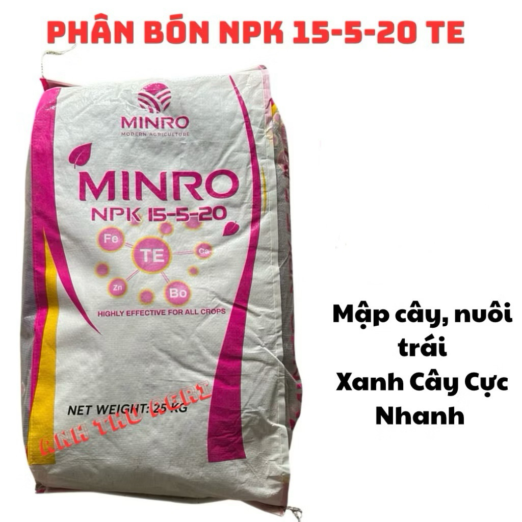 Phân Bón Rễ 15-5-20 TE Bao 25kg Hạt Tím Mập Thân Cành, Nuôi Trái, Tốt Cây, Nuôi Hoa