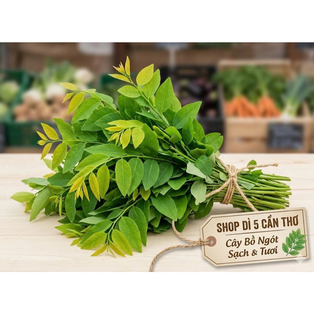 cây bồ ngót phơi khô 1 ký