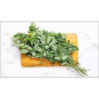 cây bồ ngót phơi khô 1 ký