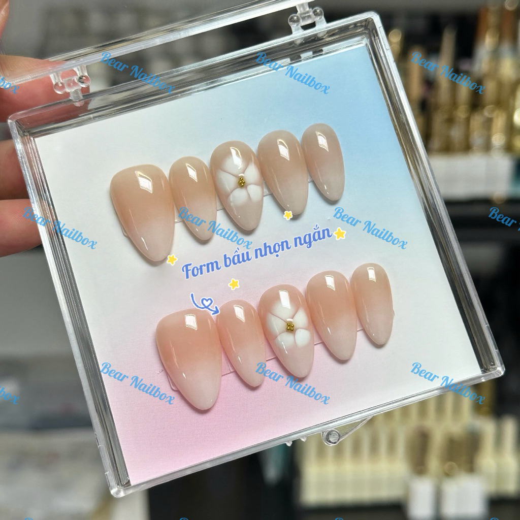B505 Nailbox thiết kế thủ công ombre kết hợp hoa loang đơn giản thanh lịch bear nailbox