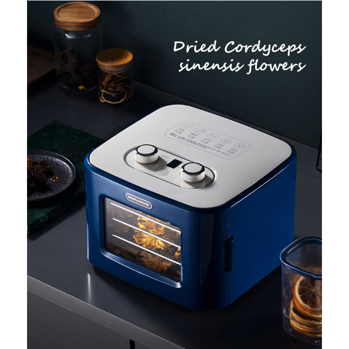 Máy Sấy Thực Phẩm Morphy Richards MR6255