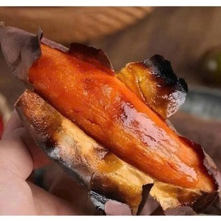 Khoai lang sữa Thái từ vườn Dran