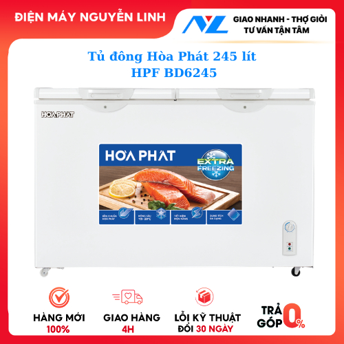 Tủ đông Hòa Phát 245 lít HPF BD6245