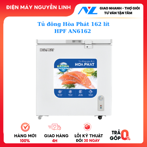 Tủ đông Hòa Phát HPF AN6162 162 lít