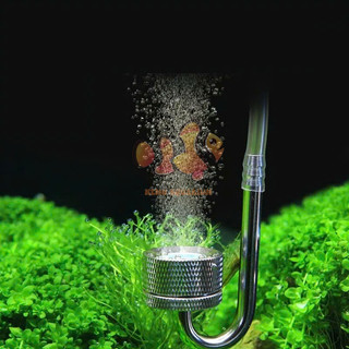 SỦI CO2 MUFAN INOX - TÁN NHUYỄN KHÍ GIÚP CÂY THỦY SINH QUANG HỢP TỐT - SỨ SỦI THAY THẾ ĐƯỢC