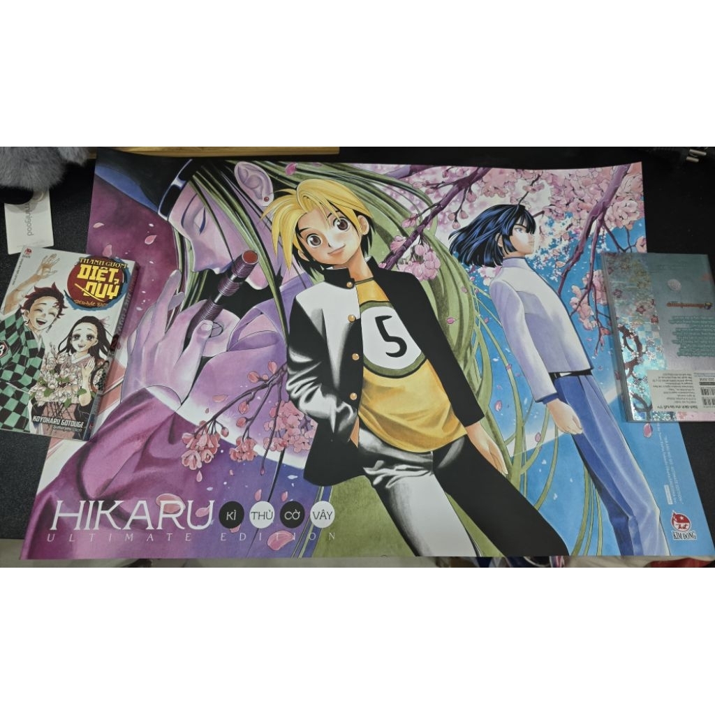 Quà fes, bìa, poster các loại