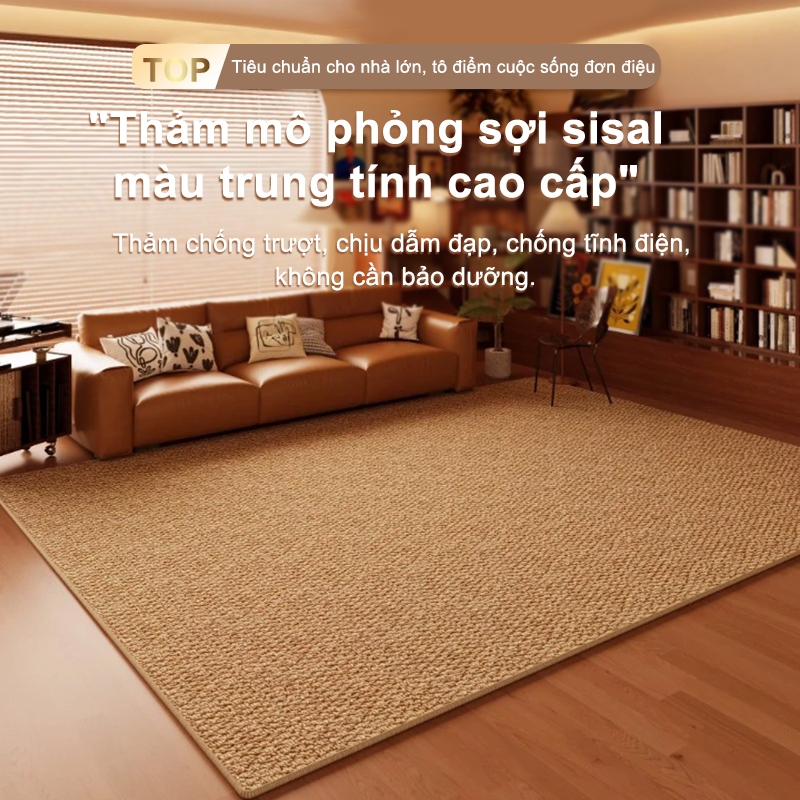 ILUOLAI Thảm Lót Sàn 2mx3m Chống Mèo Cào | Thảm Phòng Khách, Phòng Ngủ Cao Cấp, Đế Chống Trượt