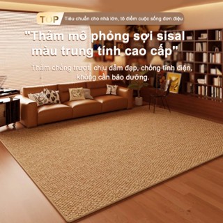 ILUOLAI Thảm Lót Sàn 2mx3m Chống Mèo Cào | Thảm Phòng Khách, Phòng Ngủ Cao Cấp, Đế Chống Trượt