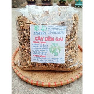 500g cây dền gai sấy khô - hỗ trợ sức khỏe xương khớp