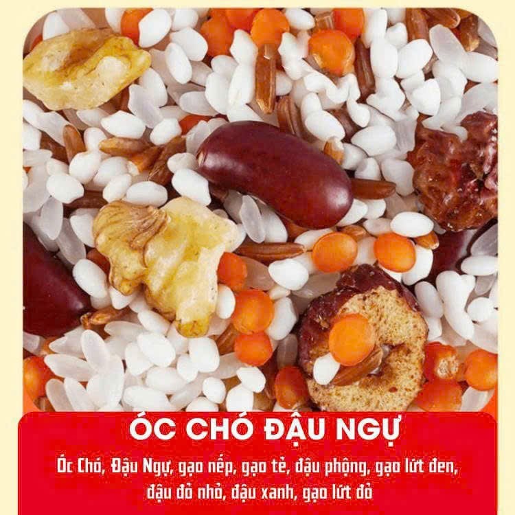 Óc Chó Đậu Ngự - An Nhiên Food