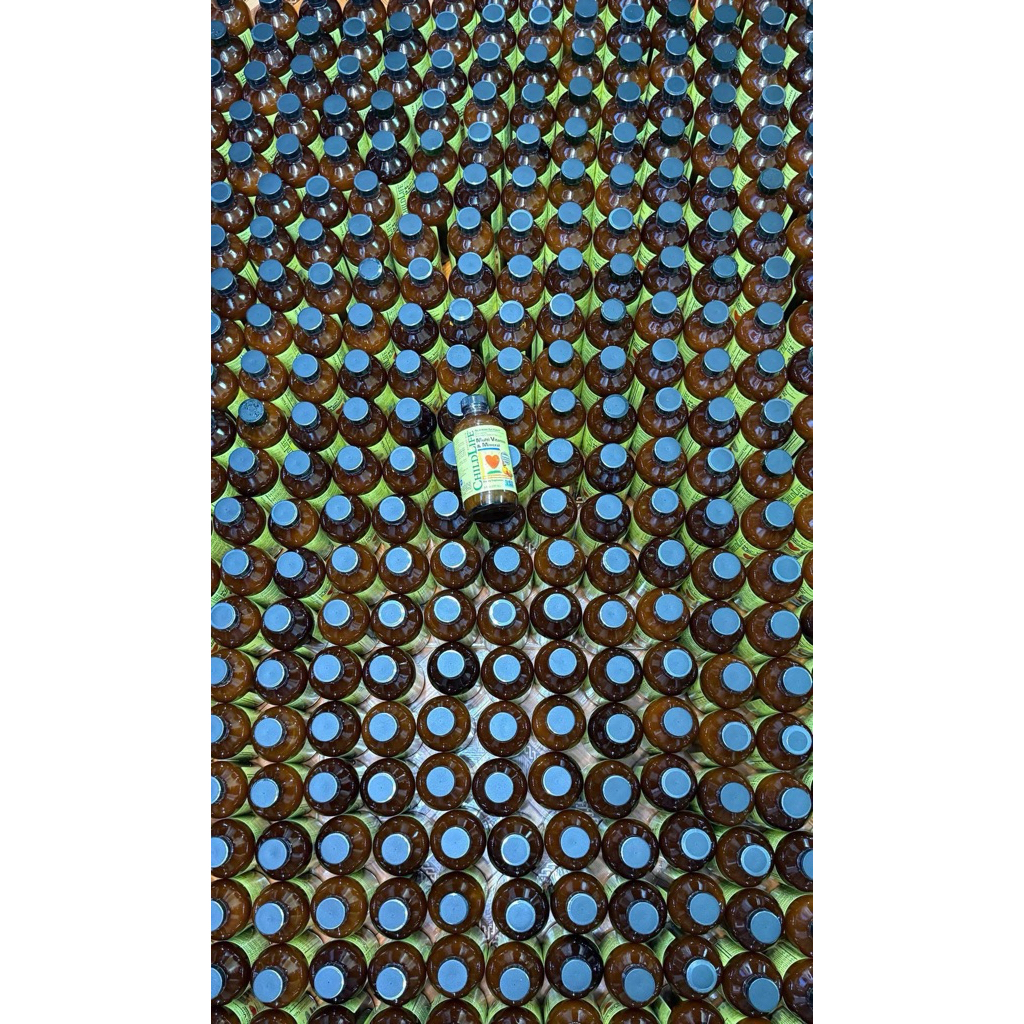 Vitamin Multi Childlife vị cam dễ uống