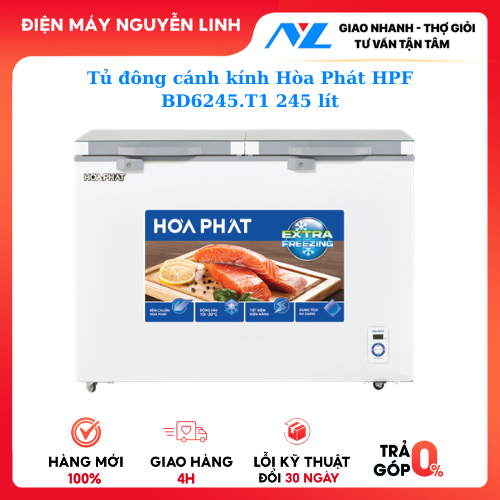 Tủ đông cánh kính Hòa Phát HPF BD6245.T1 -  245 lít