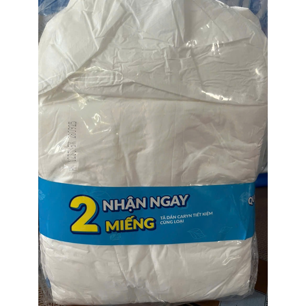 Quà tặng không bán - 2 Miếng Tã Dán Caryn size L Vòng Hông 68-122cm  - Hsd mới