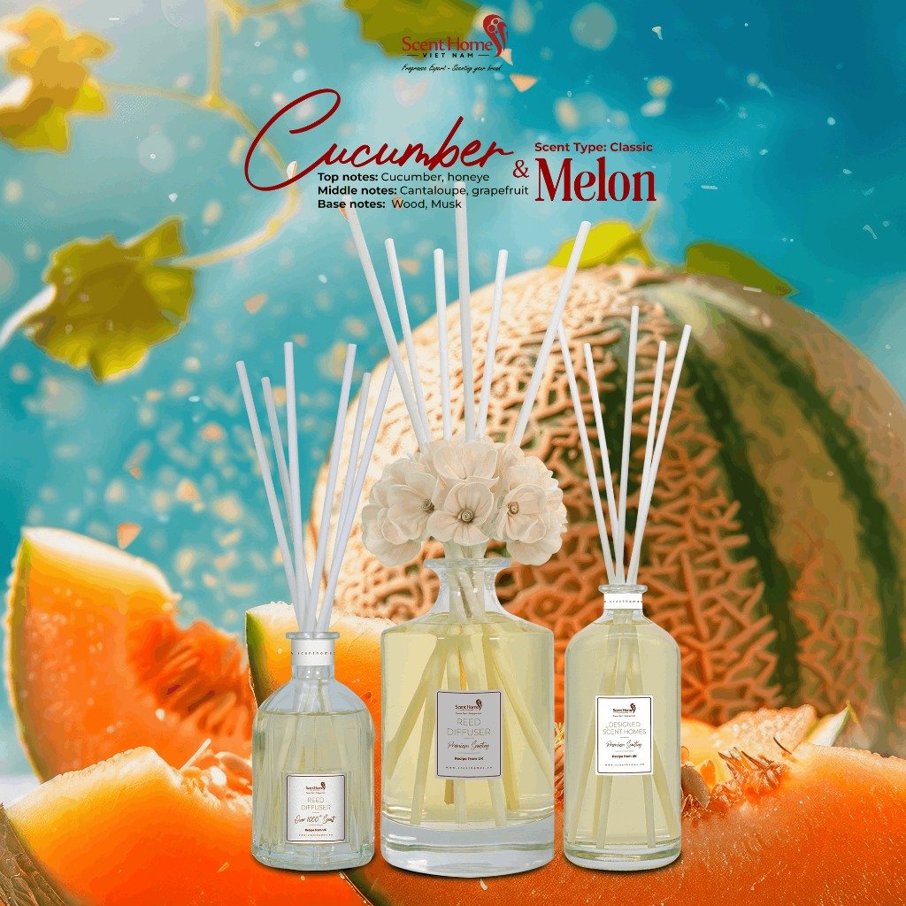 Que gỗ khuếch tán tinh dầu Cucumber & Melon