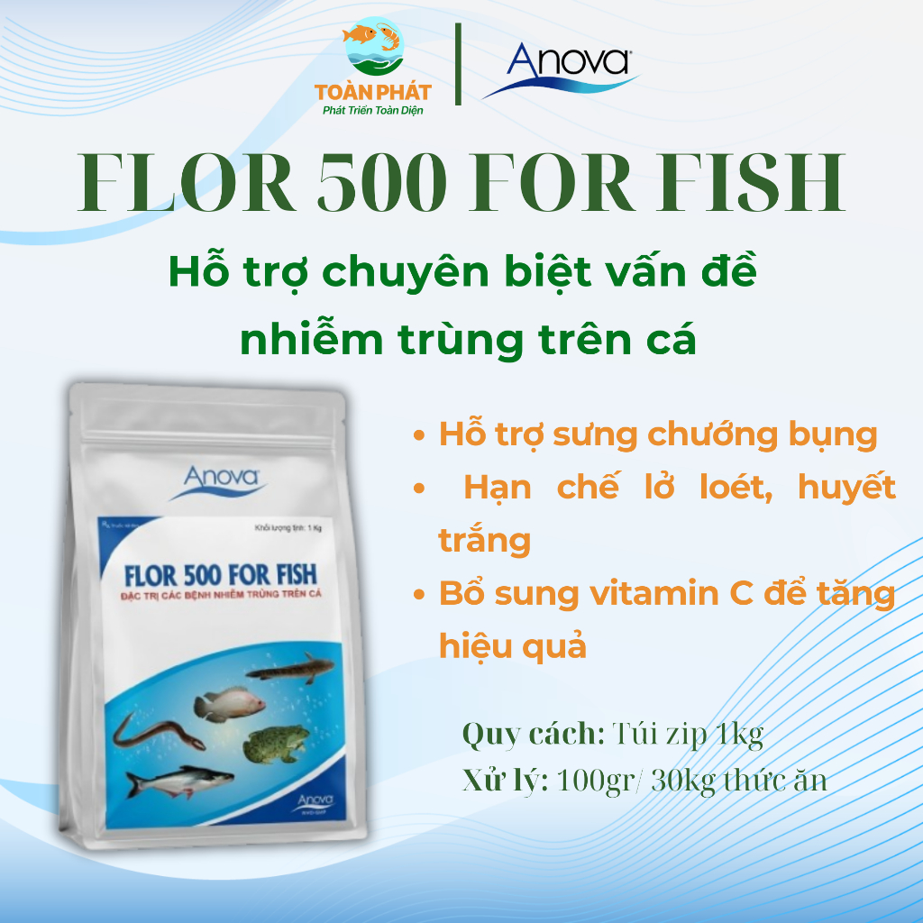 Anova Flor 500 - Xử lí các bệnh nhiễm trùng trên cá, phòng sưng, chướng bụng, gan thận ,mũ, xuất huy
