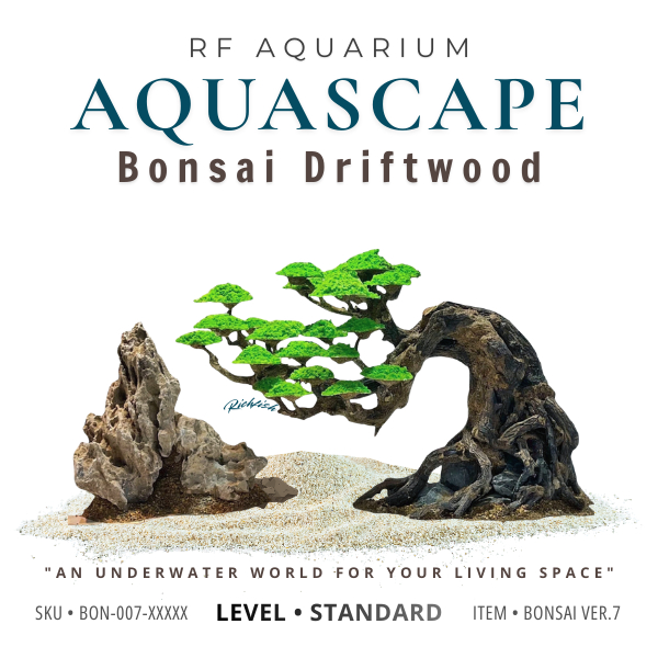 Bonsai Ver.7