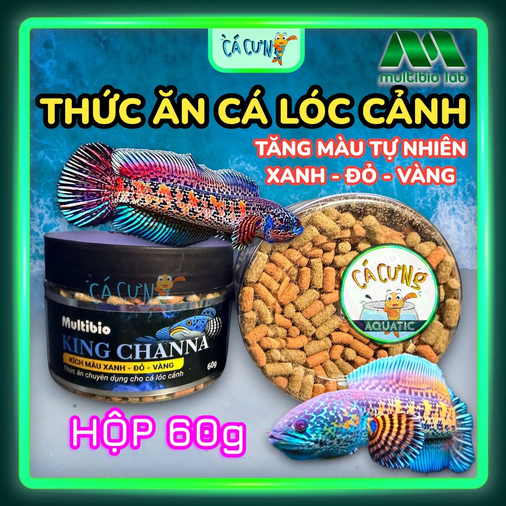 Cám Cá Lóc King Channa Multibio - Thức ăn cá lóc cảnh lên màu sắc tố tự nhiên đỏ xanh vàng (CTY)