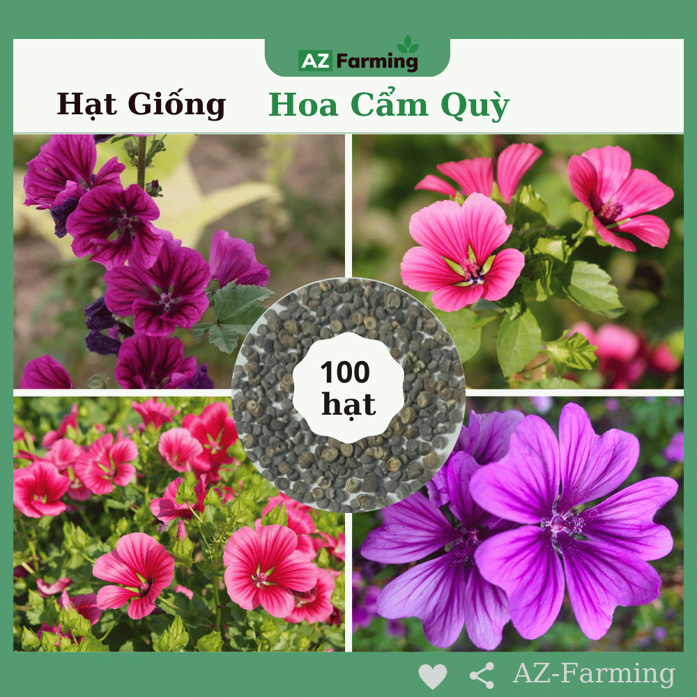 Hạt Giống Hoa Cẩm Quỳ - Gói 100 Hạt - AZ Farming