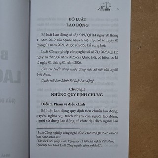 Sách - Bộ luật Lao động (NXB Lao động)