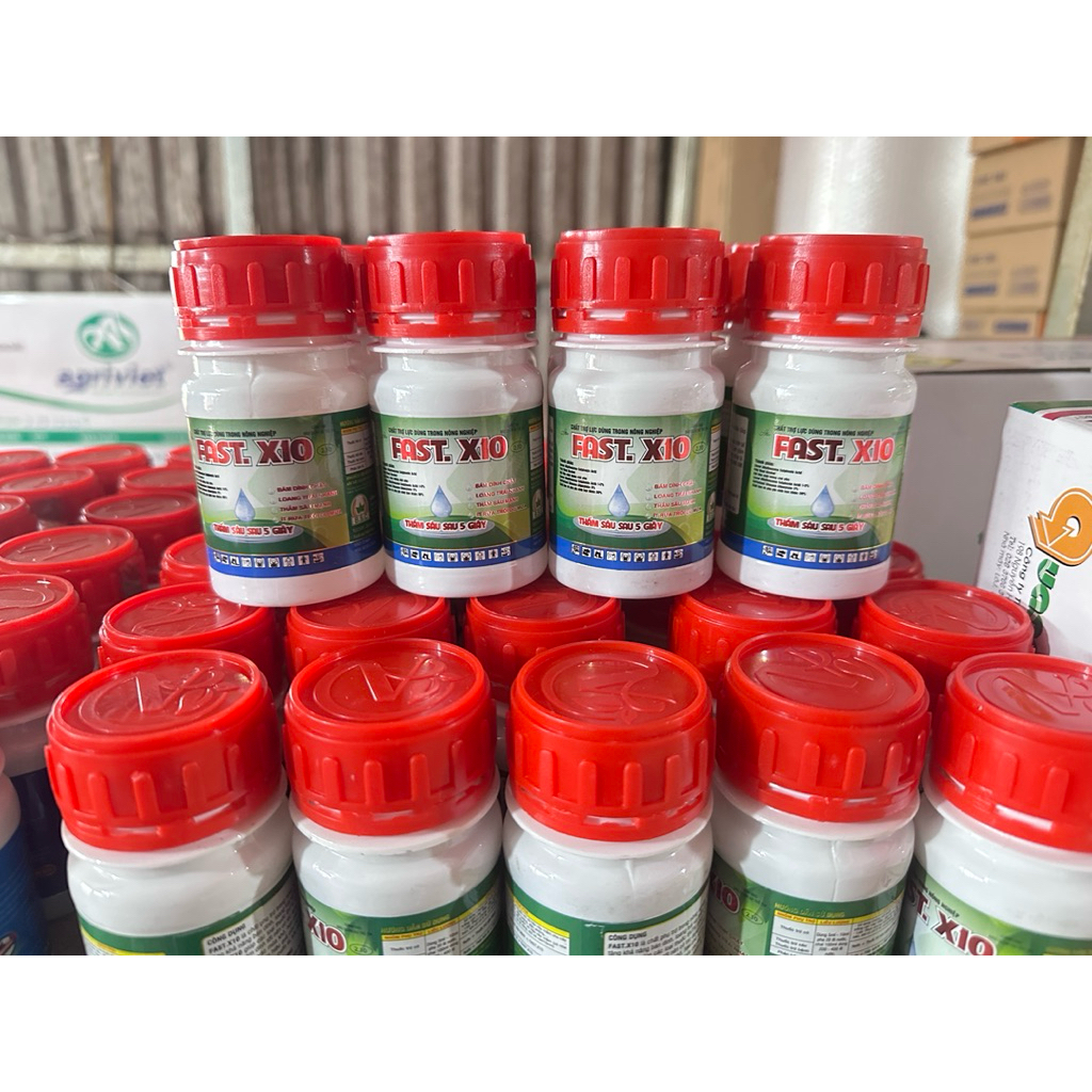 Fast X10 Bám dính