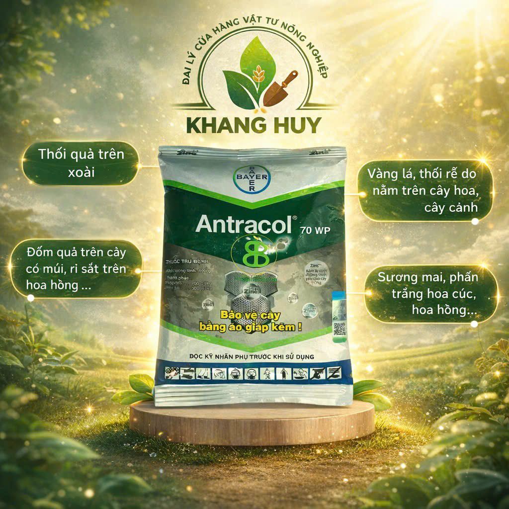 ANTRACOL 70WP