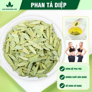Phan tả diệp 1kg, lá phan tả diệp khô, sạch, không vụn, không lẫn tạp chất - Chợ Thảo Dược Việt