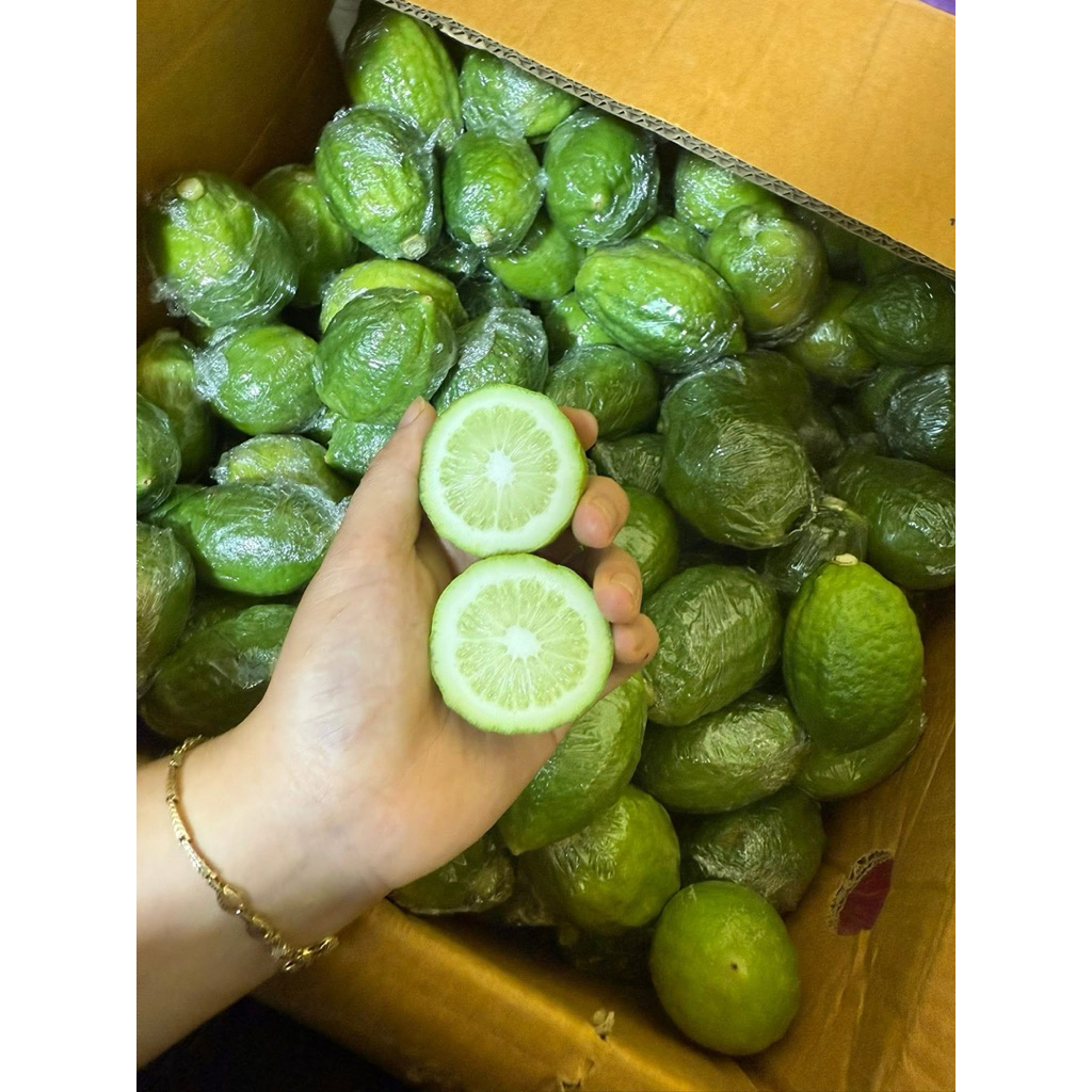 Chanh Quảng Đông xanh loại 1 sỉ lẻ Chanh quảng đông,  Chanh giã tay, chanh nước hoa