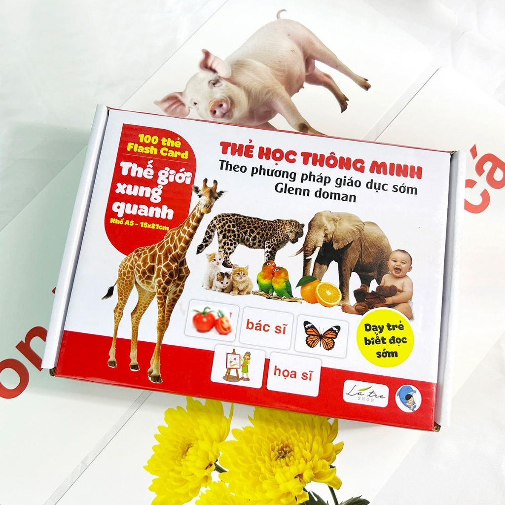 (Thanh lý) Thẻ học thông minh cho bé Bộ thẻ flashcard chuẩn phương pháp Glenn Doman khổ A5 100 thẻ nhiều chủ đề