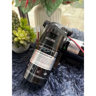 Bơm tăng áp máy lọc nước RO 24V GFP 50, hút đẩy, chất lượng tốt cho tất cả máy lọc nước