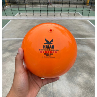 Bóng chuyền hơi phổ biến chơi thi đấu Jatan/Hải âu 200 250g