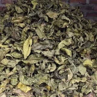 Trà bancha lá và thân ( Trà già 3 năm) 300g