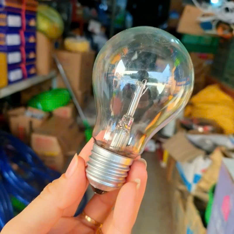 Sỉ 40 Bóng Đèn Sợi Đốt, Bóng Dây Tóc 25W, SAKURA, HANSUCO Giá Tốt