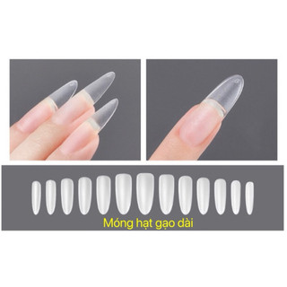 Móng giả dán hsm,vinimay,gạo dài