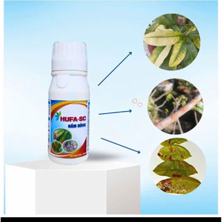 Hufa-SC Bảo Vệ Cây trồng, Nấm hồng tránh xa chai 100ml