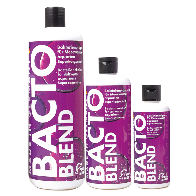 Vi sinh Bacto Reef Blend - FAUNA MARIN chuyên dụng cho hồ cá nước mặn