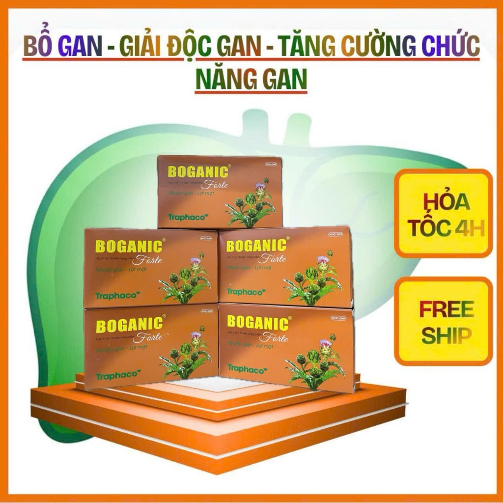 Viên uống BOGANIC FORTE Hỗ trợ bổ gan và hỗ trợ suy giảm chức năng gan, giảm triệu chứng viêm gan