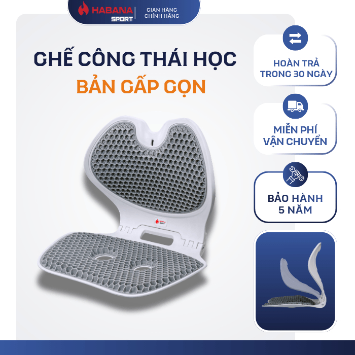 [HABANA SPORT CHÍNH HÃNG] Ghế Chỉnh Dáng Công Thái Học Gấp Gọn EGO HABANA, Đệm Tổ Ong TPE Đàn Hồi Th