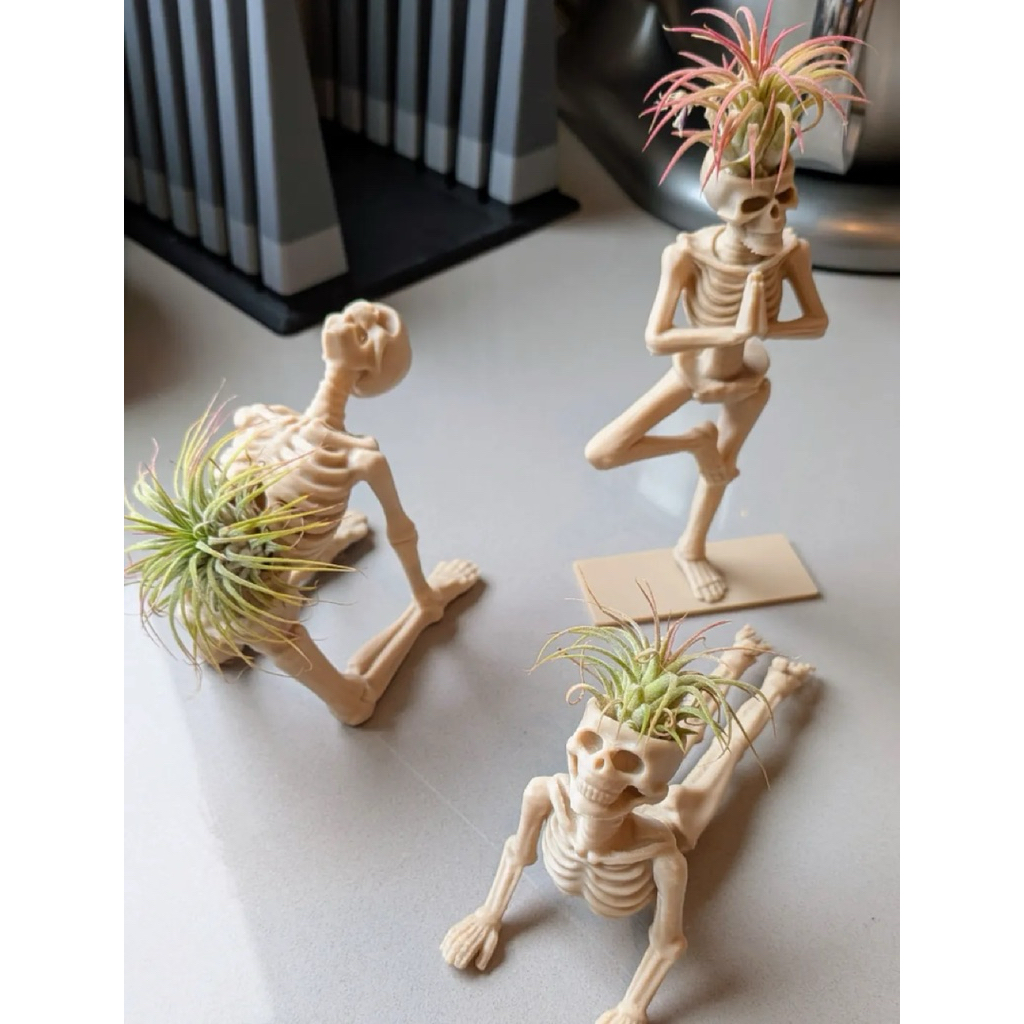 Chậu Cây Không Khí Bộ Xương Yoga Zen - Zen Skeleton Air Plant Holder