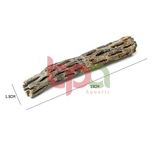 CHOLLA WOOD BABY LŨA CHOLLA HÀNG TUYỂN | ĐỒ CHƠI TÉP KIỂNG DÁN RÁY BUCEP RÊU