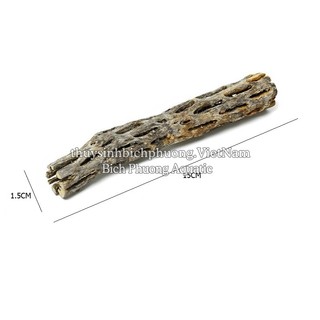 LŨA XƯƠNG RỒNG - CHOLLA CATUS ĐỒ CHƠI TÉP KIỂNG DÁN RÁY BUCEP RÊU DƯƠNG XỈ