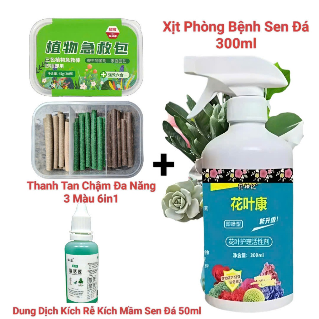 Bộ Chăm Sóc Sen Đá: Xịt Phòng Bệnh Sen Đá + Kích Rễ Kích Mầm + Thanh Tan Chậm 3 Màu