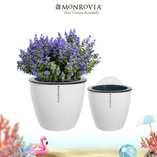 Chậu Cây Tự Tưới Treo Tường MONROVIA K0 – Trang Trí Ban Công, Trong Nhà, Ngoài Trời