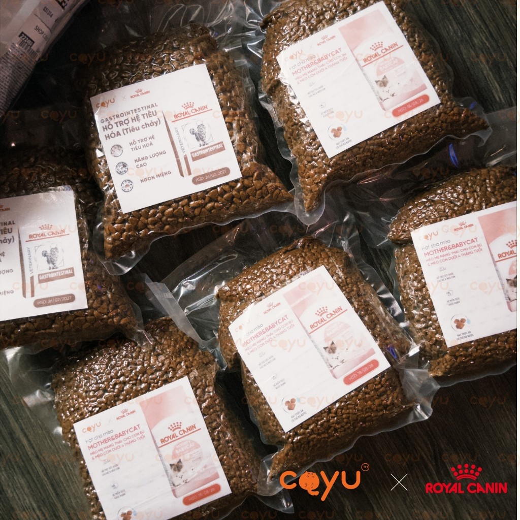 Hoả Tốc Đến 23H - Thức Ăn Hạt Khô - Royal Canin BRITISH SHORT HAIR ADULT - Mèo Anh Lông Ngắn - Coyu