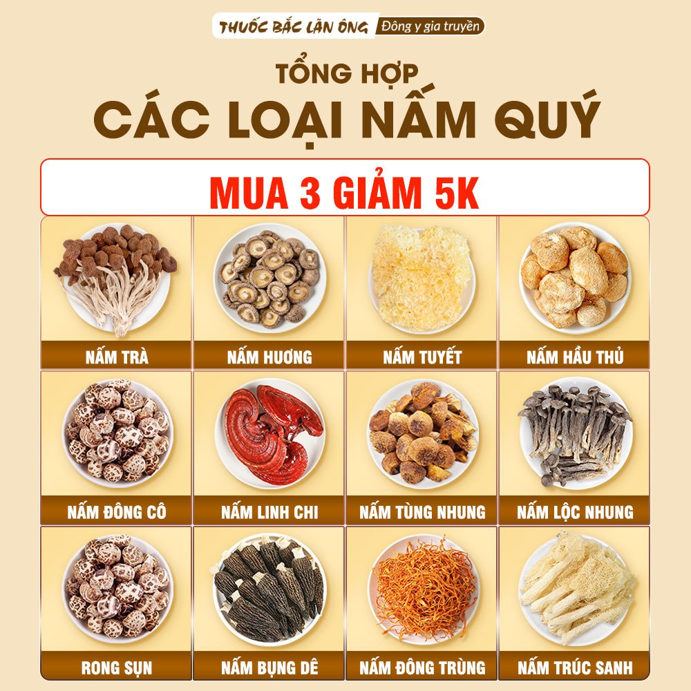 Tổng hợp các loại nấm quý, nấm bụng dê, tùng nhung, nấm lộc nhung, đầu khỉ, nấm trúc sanh - Lãn Ông