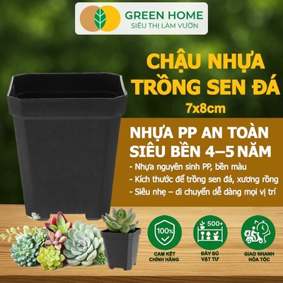 30 Chậu Nhựa Trồng Sen Đá Greenhome, 7x8cm, BỀN, ĐA NĂNG, Trồng Mọi Loại Cây ,Tiết Kiệm Không Gian