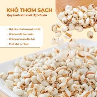 Hạt ý dĩ nếp 100g, hạt bobo, y dĩ, thơm bở bùi, nấu chè, cháo, nấu sữa hạt, pha trà lợi sữa